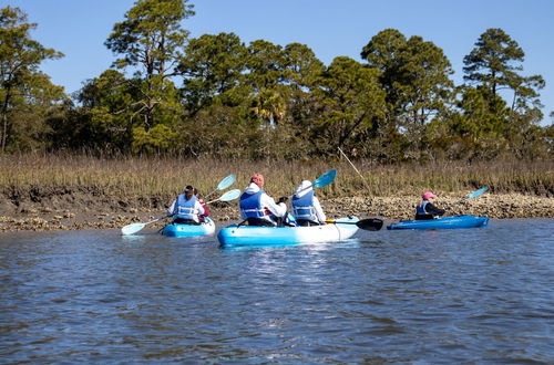 Photo 50 - 116 Sea Otter