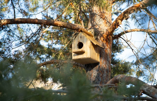 Bellissimo Garden Villa - Foto 26