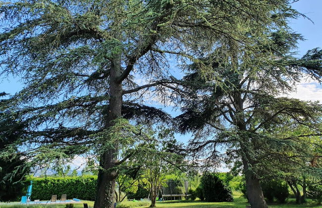 Gîte le cèdre bleu - Foto 1