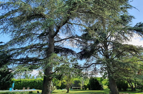 Foto 1 - Gîte le cèdre bleu