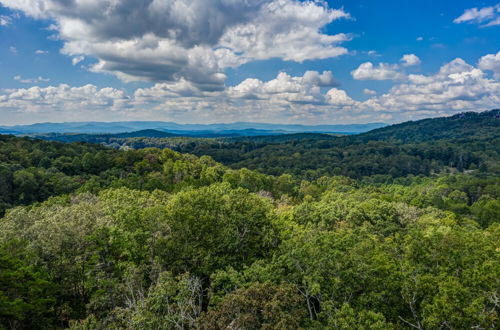 Foto 65 - Gorgeous & Secluded 3 BDR Cabin in Mineral Bluff