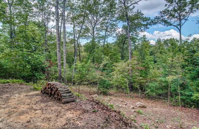 Gorgeous & Secluded 3 BDR Cabin in Mineral Bluff! - Photo 39