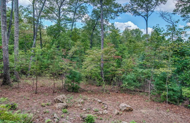 Gorgeous & Secluded 3 BDR Cabin in Mineral Bluff! - Photo 38