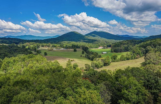 Gorgeous & Secluded 3 BDR Cabin in Mineral Bluff! - Photo 37