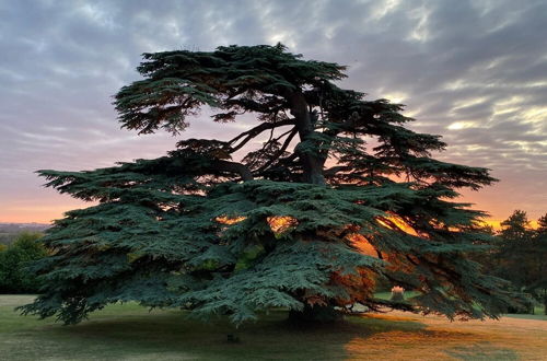 Photo 54 - Château Gassies