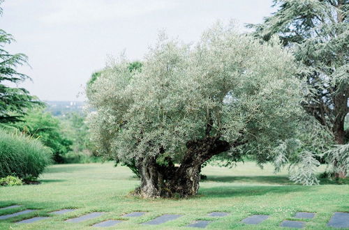 Foto 55 - Château Gassies