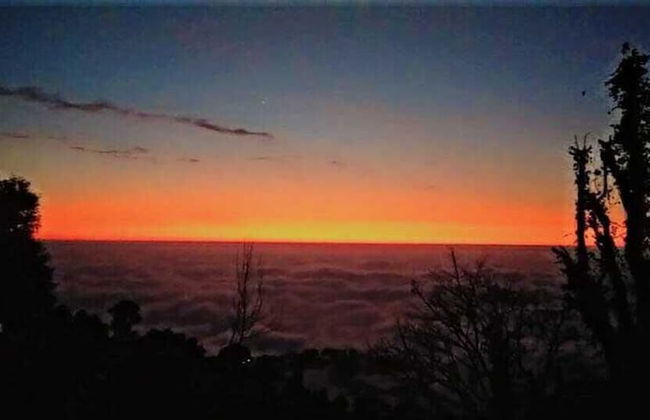 Sharry's Homestay - Photo 35