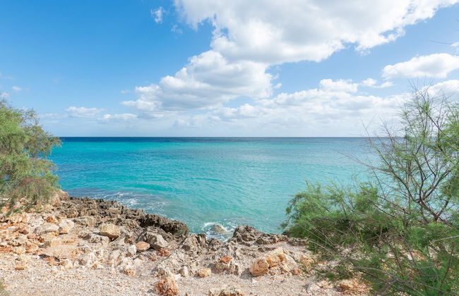 Antic 101 in Mallorca - Foto 21