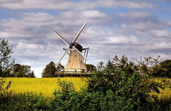 Liefde Voor de Schlei - Foto 32