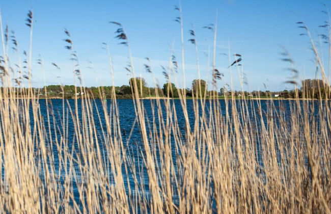 Liefde Voor de Schlei - Foto 13