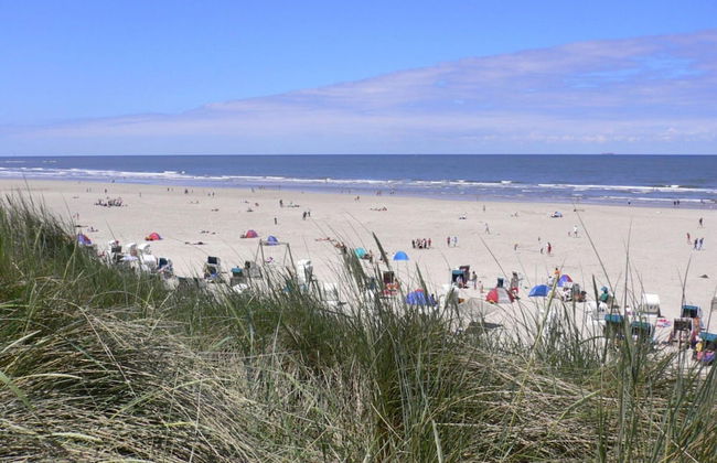 - Exclusively Restored Gulfhof - Photo 16