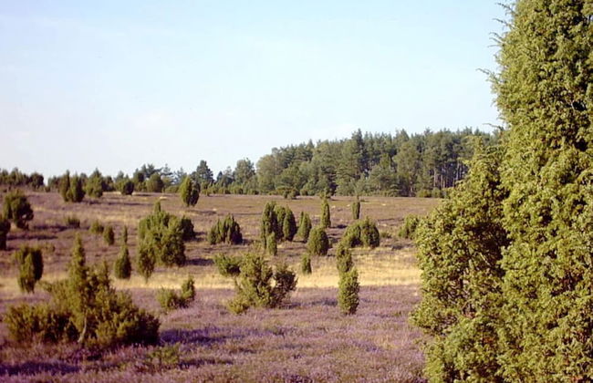 at Bunge Heath Farm - Photo 8