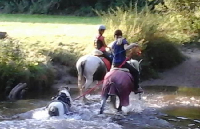 at Bunge Heath Farm - Photo 12