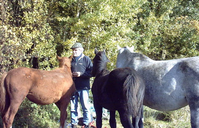 at Bunge Heath Farm - Photo 14