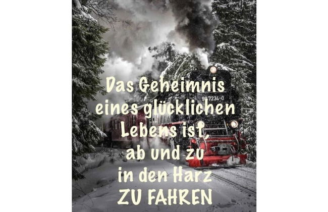 Holiday Home Harzhaus Time out - Foto 29