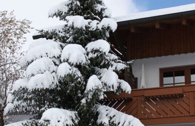Kreuzwiesen Comfortable Holiday Residence - Foto 25