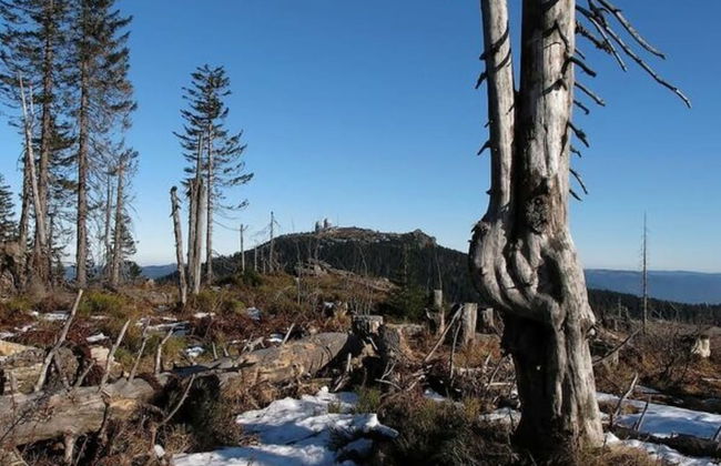 Mountain Apartment in Bad Kotzting - Foto 27