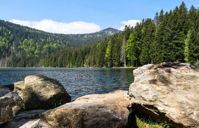 Mountain Apartment in Bad Kotzting - Foto 16