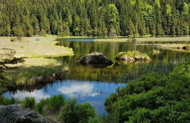 Mountain Apartment in Bad Kotzting - Foto 37