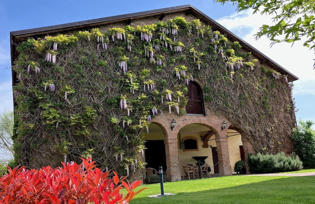 Agriturismo La Lupa - Foto 16