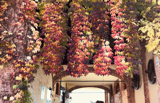 Agriturismo La Lupa - Foto 21