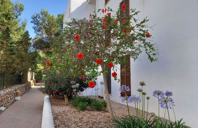 Residence Sirena D'or - Photo 32