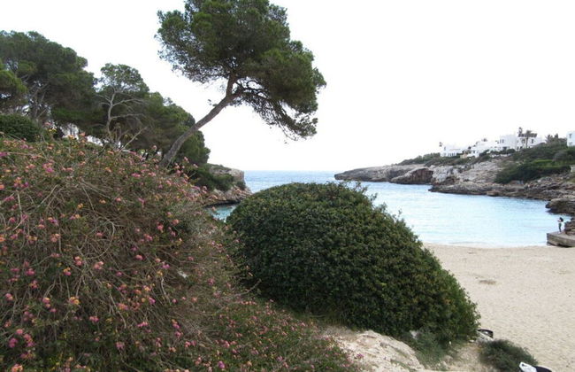 Residence Sirena D'or - Photo 24