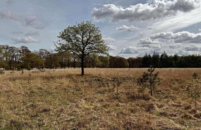 Detached Bungalow With Wifi, Located at Park De Veluwe - Foto 31