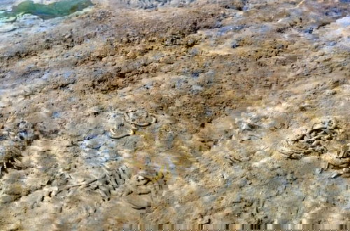 Foto 35 - Sun, Mudflats and sea