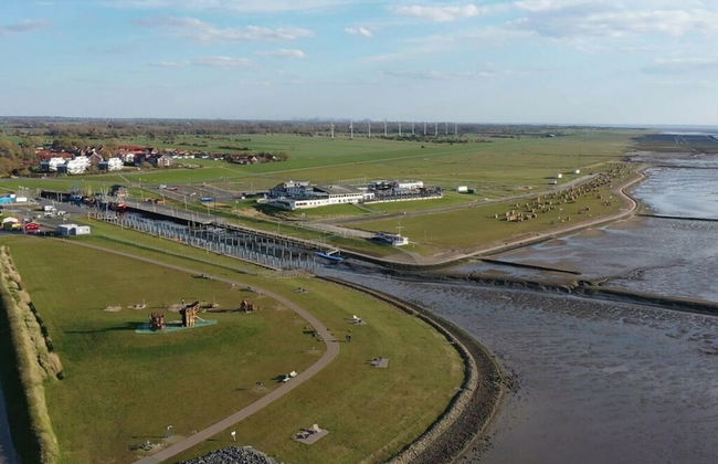 Sun, Mudflats and sea - Foto 7