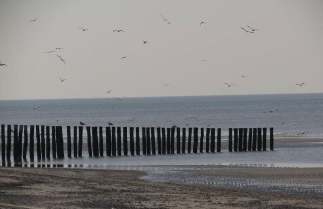 Holiday Home in Renesse Near the Beach - Foto 34