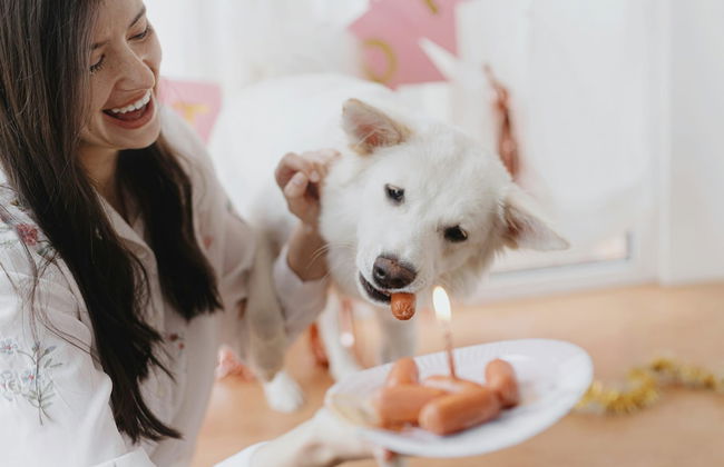 A pet Friendly Farmhouse With a Rooftop Pool - Foto 13