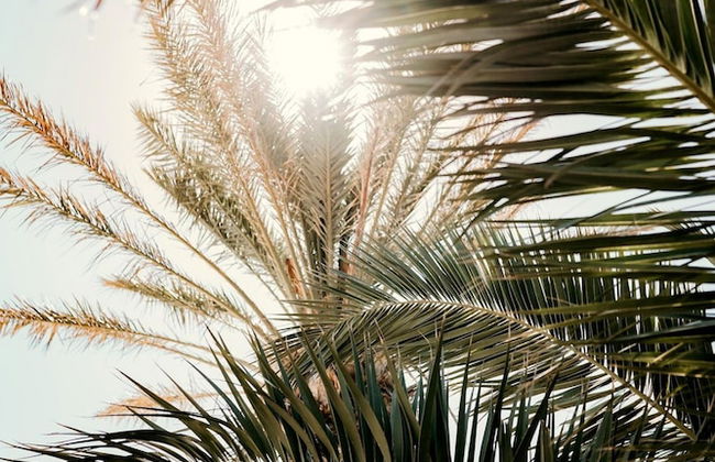 Bonora Country Houses - Canava - Foto 20