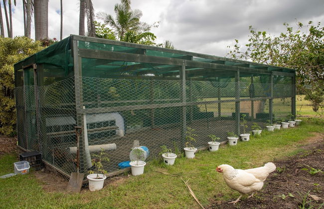 The Old Sugar Mill Country Escape in Paradise - Photo 27