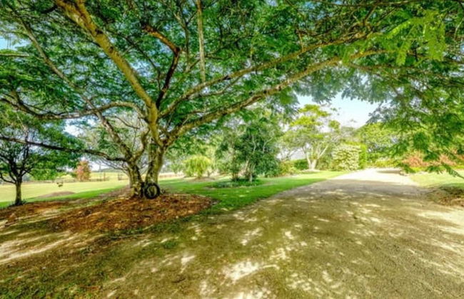The Old Sugar Mill Country Escape in Paradise - Photo 12