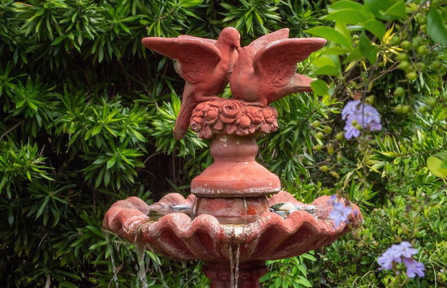 The Old Sugar Mill Country Escape in Paradise - Photo 29