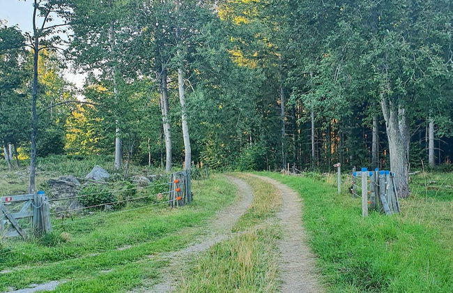 5 Person Holiday Home in Hallekis - Foto 25