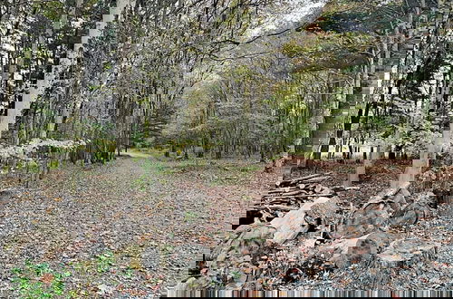 Foto 48 - Wander Through the Woods