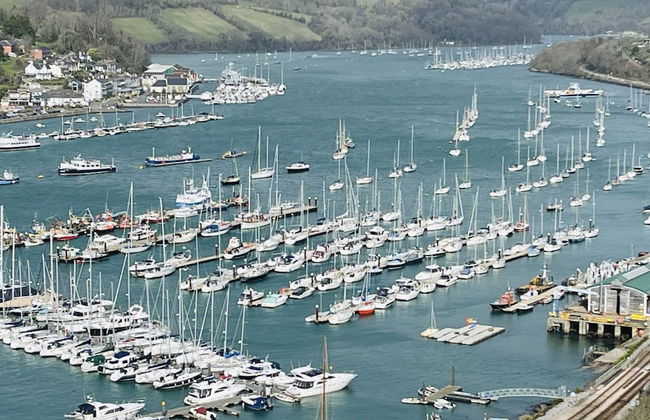 Two Guns in Kingswear - Photo 46
