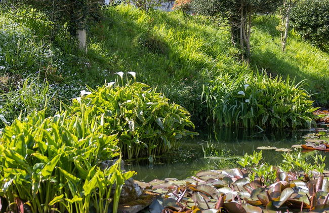 Ty Hapus - Close to Beach and Town - Foto 40