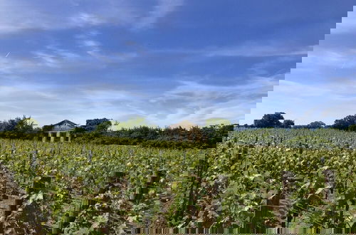 Foto 40 - Gite Near Saint-emilion