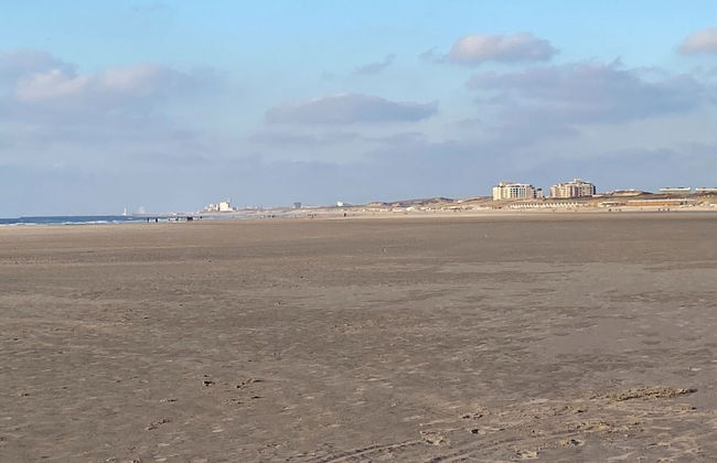Coastal Apartment Near Dunes - Foto 24