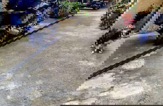 Affittacamere La Corte di Quiliano - Foto 26