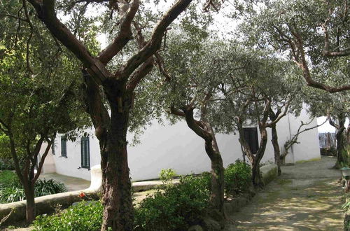 Photo 16 - Ischia Charming Terrace Seaview Villa