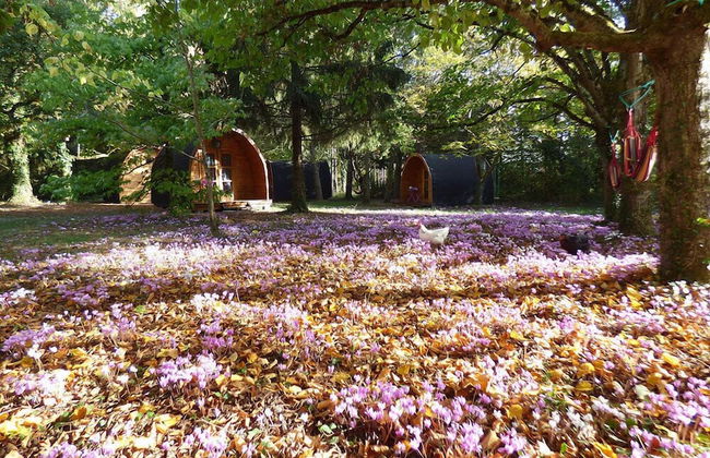 Les Cabanes des Chateaux - Foto 12