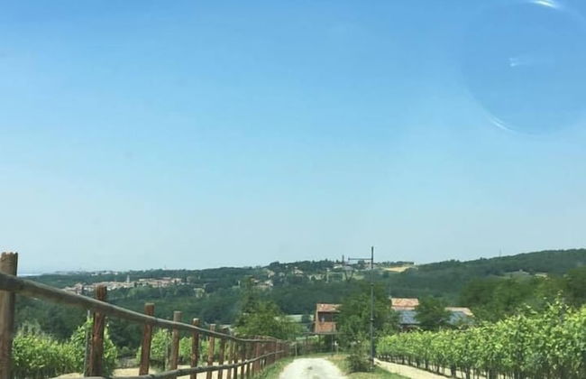 Tenuta di Cascina Diavolo dei Boschi - Foto 35