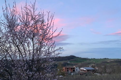 Photo 37 - Tenuta di Cascina Diavolo dei Boschi