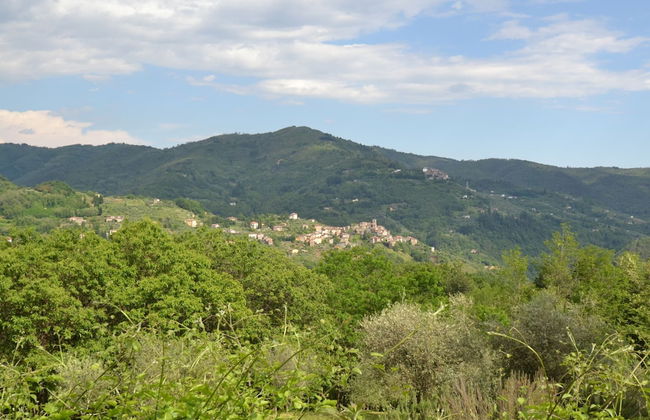 Beautiful Cottage in Pescia with Hot Tub - Foto 35