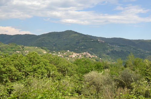 Photo 35 - Beautiful Cottage in Pescia with Hot Tub