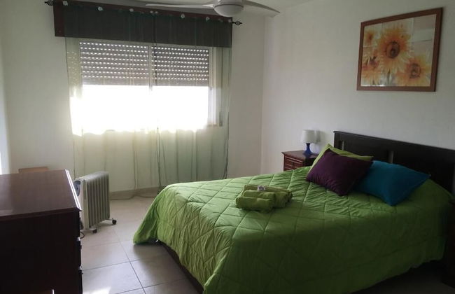 7D Solário by Casas & Papéis - Foto 3